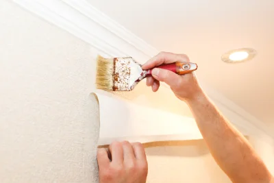 Pose de papier peint au Tuzan — revêtements muraux et toiles de verre